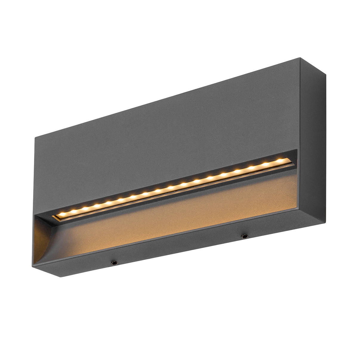 Wandaufbauleuchte Fina L LED