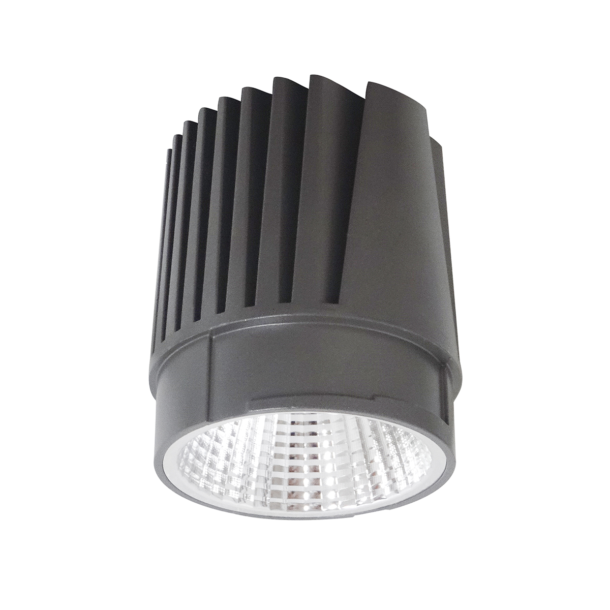 Leuchtmittel RIDL Big II