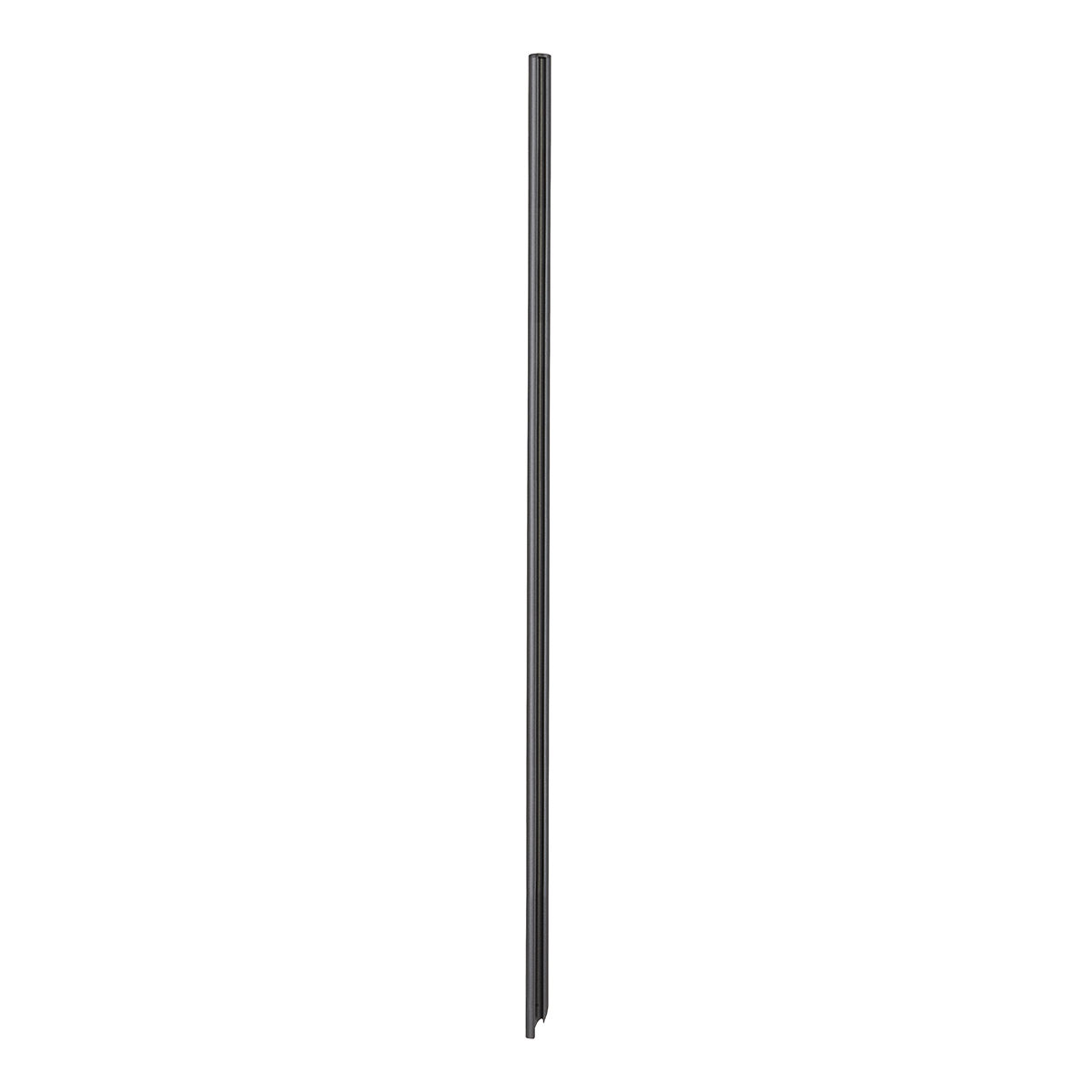 Erdspiess Spiky