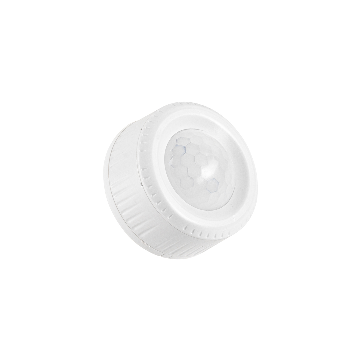 PIR-Sensor Ruggy